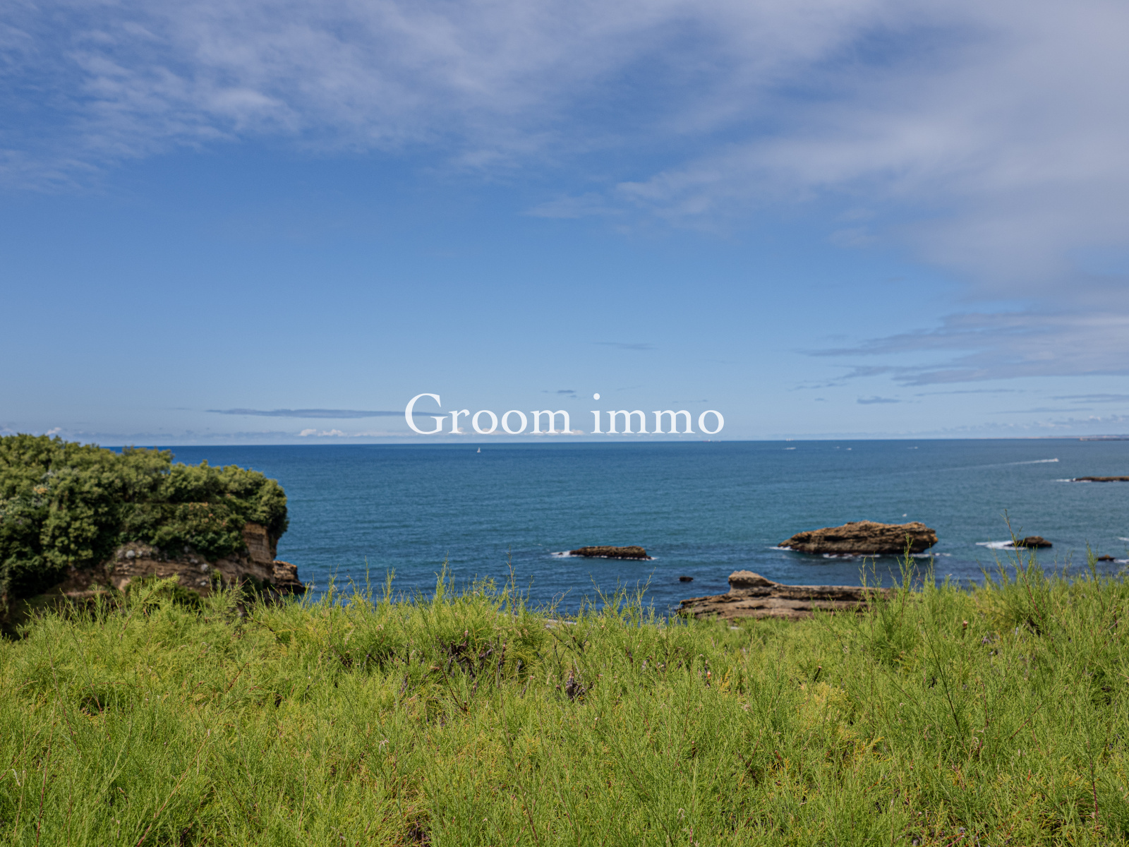 Image_1, Appartement, Biarritz, ref :MEVDU420004432